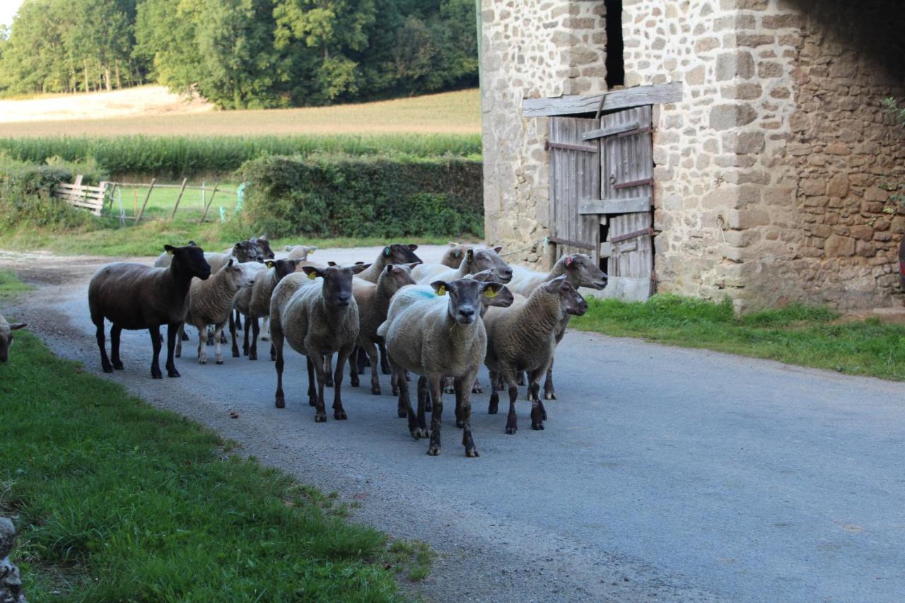 مبيت وإفطار Mourioux-Vieilleville Dans La Creuse المظهر الخارجي الصورة